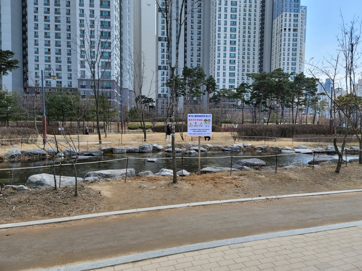 용정공원 생태연못 사진